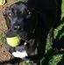 Nathan Atwell - Facebook