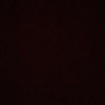 Nathan Paxton - @old_account_nathanpaxton04 - Instagram