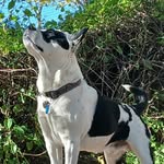 Nathan Babbitt - @nbabbitt22 - Instagram