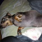 nathanbadeaux - @nathanbadeaux5 - Instagram