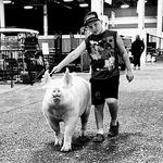 Nathan Balint - @balintnathan - Instagram