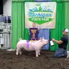 Nathan Balint - @natebalint92 - TikTok