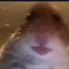 Nathan Barone - @nathanbarone8 - TikTok