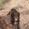 Nathan Barr - @31027574689 - TikTok