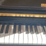 Nathan Barroso - @nathan__barroso - Instagram