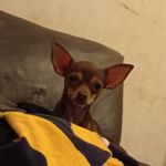 Nathan Barrera - @nathan.barrera.5201 - Instagram