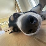 Nathan Barrick - @nathanb9876 - Instagram