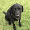 Nathan Batten - @nathan.batten - TikTok