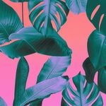 Nathan Raja Batts - @nathanrajabatts - Instagram