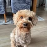 Nathan Battye - @battyenathan - Instagram