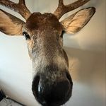Nathan Baylor - @baylor.nathan - Instagram