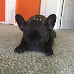 Nathan Beaumont - @nathan__beaumont - Instagram