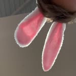 Nathan Beaumont - @bmt_nathan - Instagram