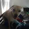 nathanbedardaudet - @nathanbedardaudet - TikTok