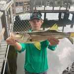 Nathan Bellamy - @nathan_bellamy - Instagram