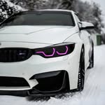 Nathan Benoit - @nathan479778 - Instagram