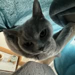 Nathan Steven - @bertlingspriv - Instagram