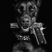 Natan Paszek - Facebook