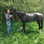 Nathan Billman - @billmannathan - Instagram
