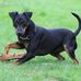 Nathan Billman - Facebook