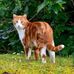 Nathan Billman - Facebook