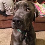 Nathan Blankenship - @nathan_b5304 - Instagram