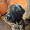 Nathan Blankenship  - @nathanbship0602 - TikTok