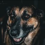 Nathan Blizzard - @blizzard6457 - Instagram