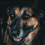 nathanblizzard - @nathanblizzard1 - Instagram