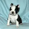 nathan.bonner - @nathan.bonner - TikTok