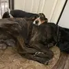 Nathan Boone - @nathan.boone16 - TikTok