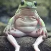 Nathaň - @nathanbosch4738 - TikTok