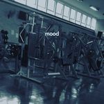 @nathanbosch5 - Instagram