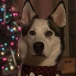 Nathan Bourque - @nathanbourque - Instagram