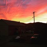 Nathan Bowden - @nathan_bowden22 - Instagram