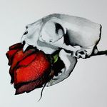 Nathan Bowden - @natebowden - Instagram