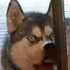 Nathan Bowden - @nathan.bowden2 - TikTok