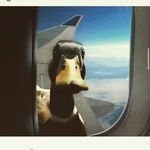 Nathan Bowser - @nathanbowser23 - Instagram