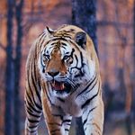 nathan boyer - @_nathan_boyer - Instagram