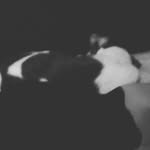 nathanbracey - @nathanbracey601 - Instagram