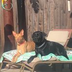 Nathan Braden - Facebook