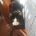 Nathan Bragg - @nathan.bragg.165 - Instagram