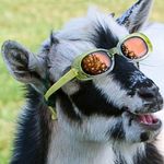 Nathan Bratcher - @nathanbratcher325 - Instagram