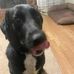 Nate Braxton - Facebook