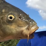 Nathan Brett - @nathan_brett03 - Instagram