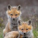 @nathan_brodeur19 - Instagram