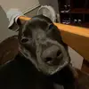 Nathan Brown - @_.nathanbrown._ - TikTok
