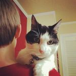 Nathan Joseph Bruns - @nathan_j_bruns - Instagram