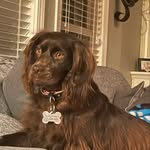 Nathanbrunson - @nathan_brunson1234 - Instagram