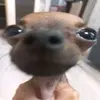 Nath - @nathanbuckman1 - TikTok
